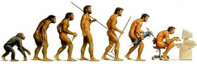 The evolution of humans