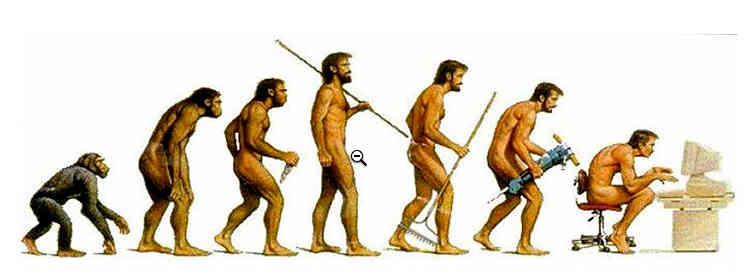 evolution